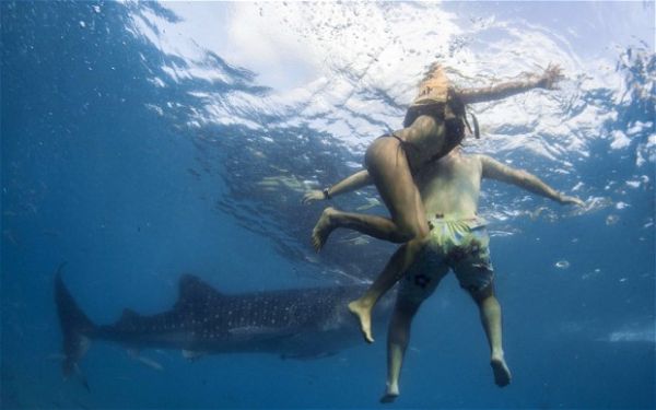 sharks surround couple