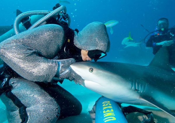diver kissing shark